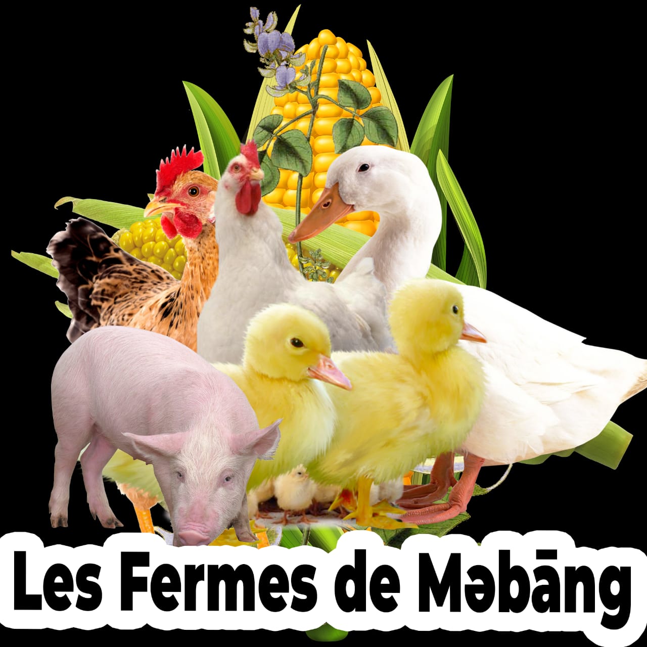 LOGO FERME poulet de chair