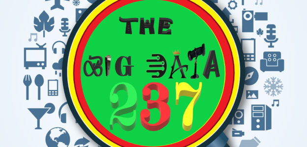THE BIG DATA 237